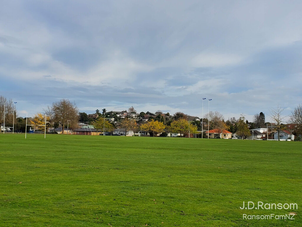 Swarbrick Park field and hill
