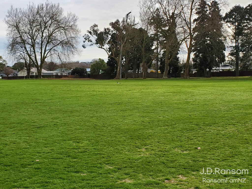 Swarbrick Park field