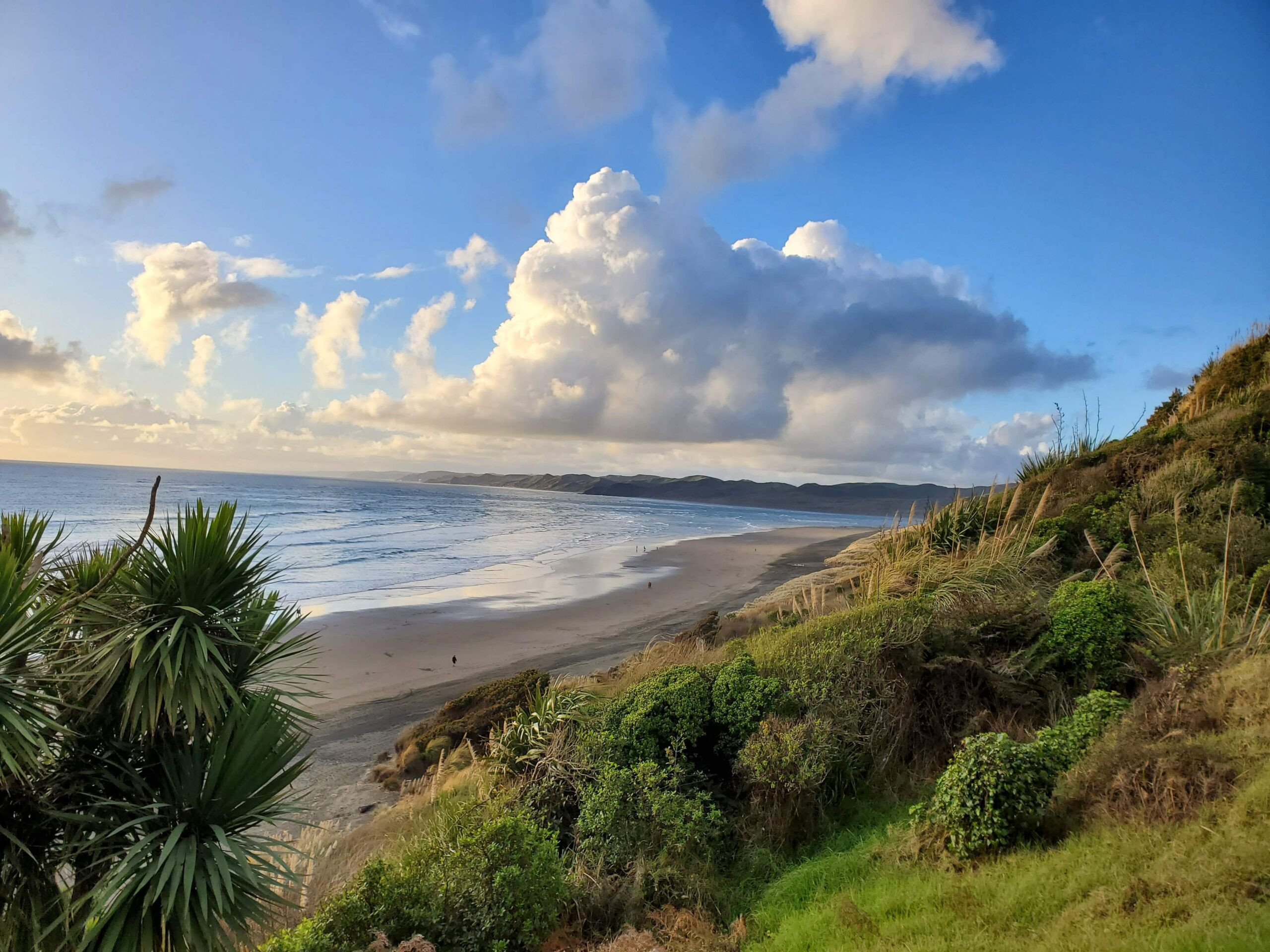 Ngarunui Beach overlook looking north