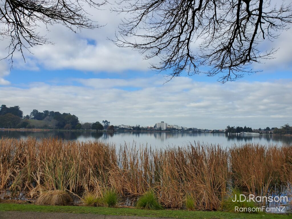 Looking at the Waikato Hospital across the lake