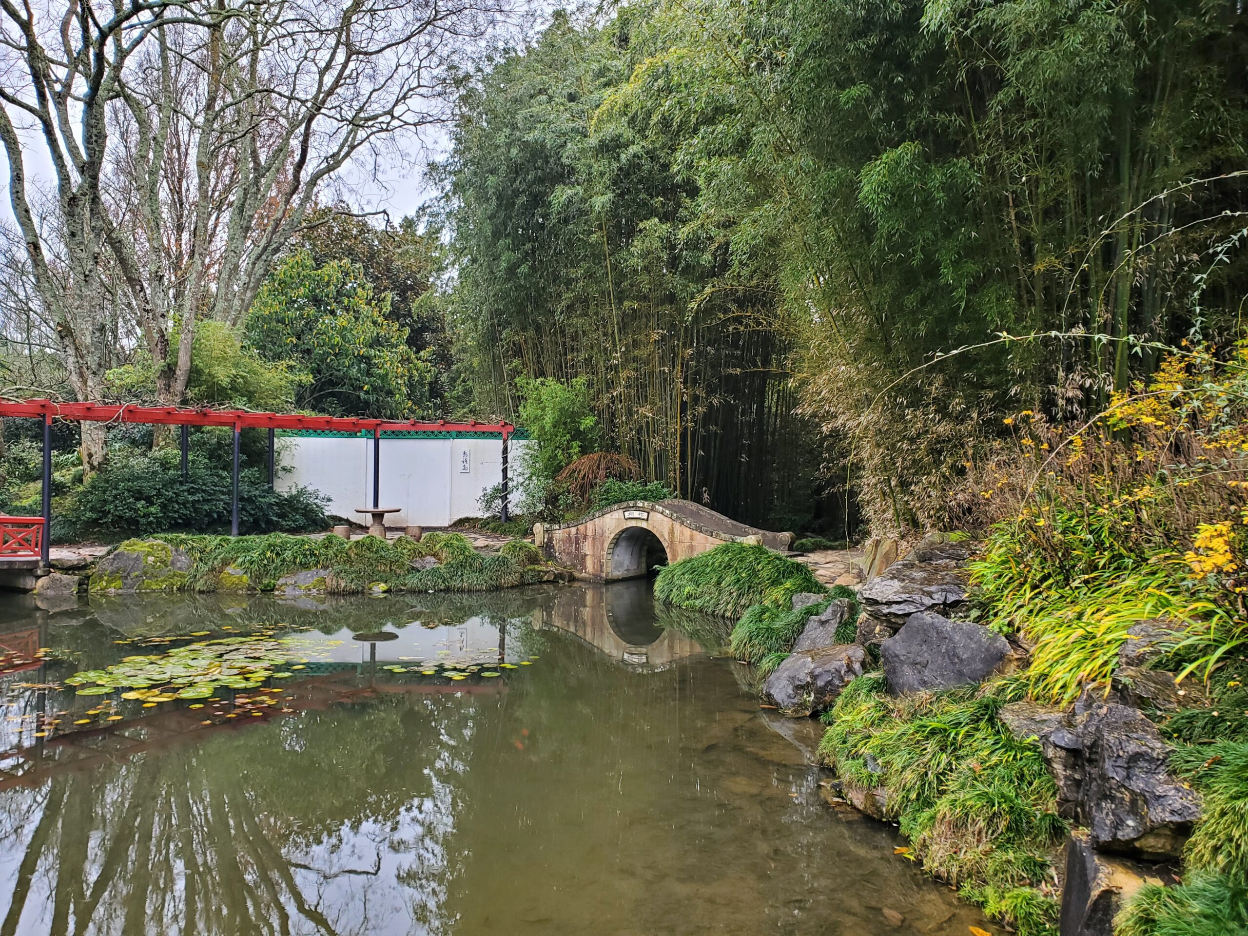 20220705_132740 Chinese Scholars' Garden arched bridge