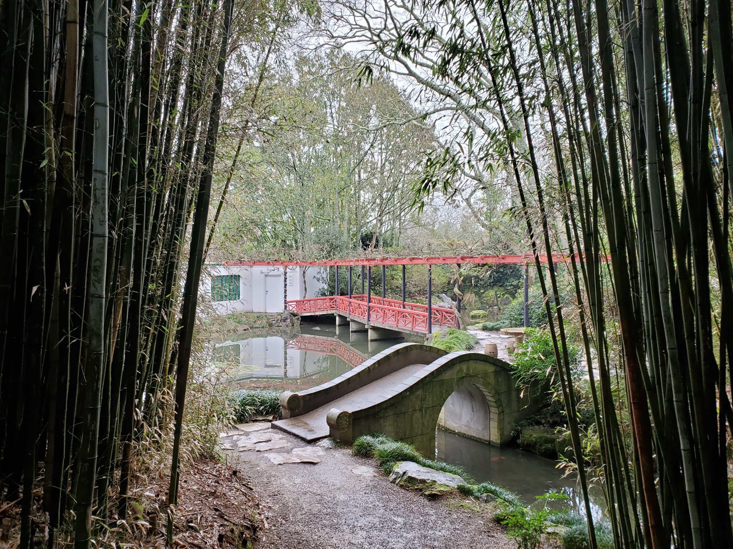 20220705_133014 Chinese Scholars' Garden from bamboo path