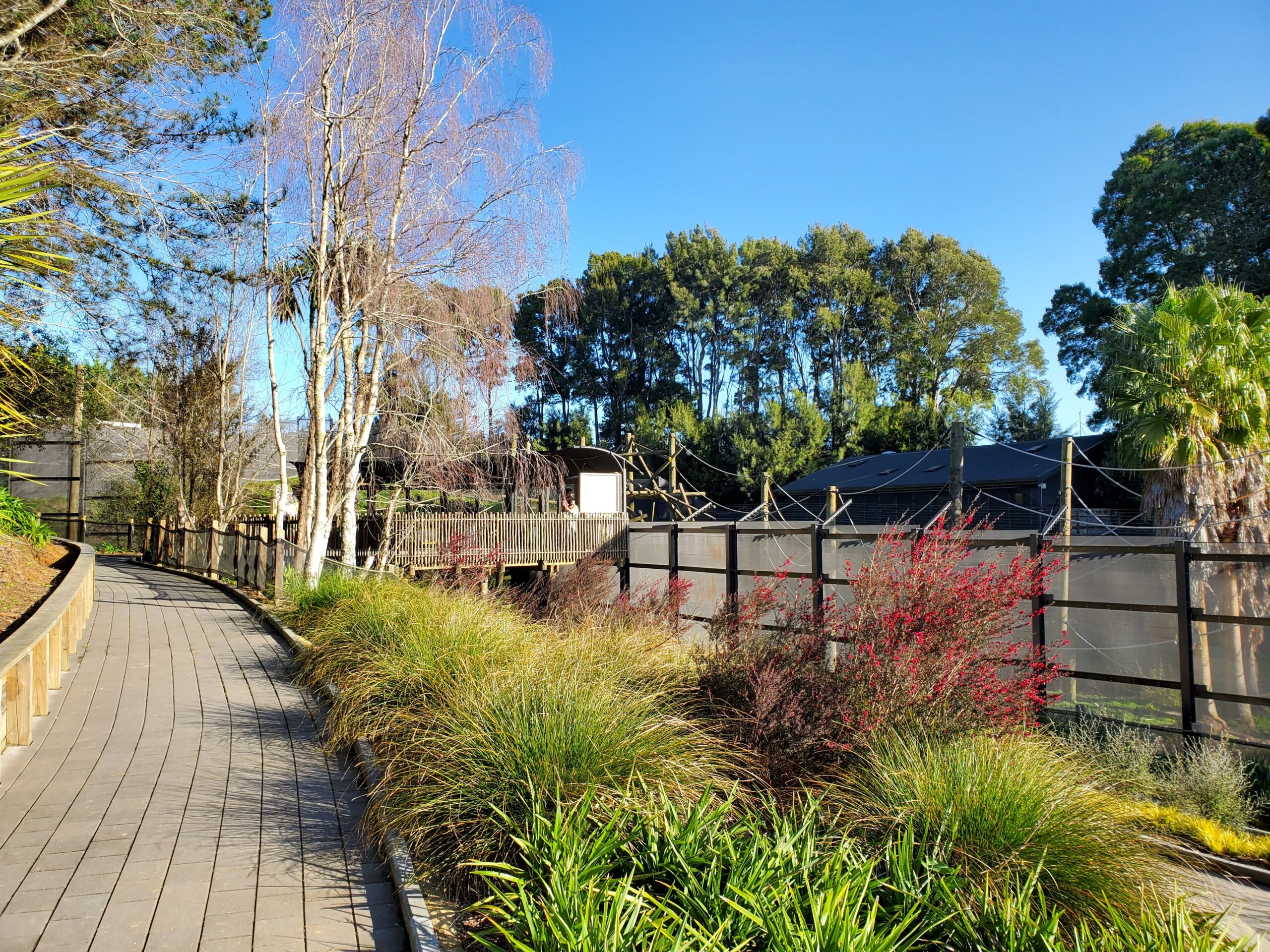 Hamilton Zoo path and enclosure fence