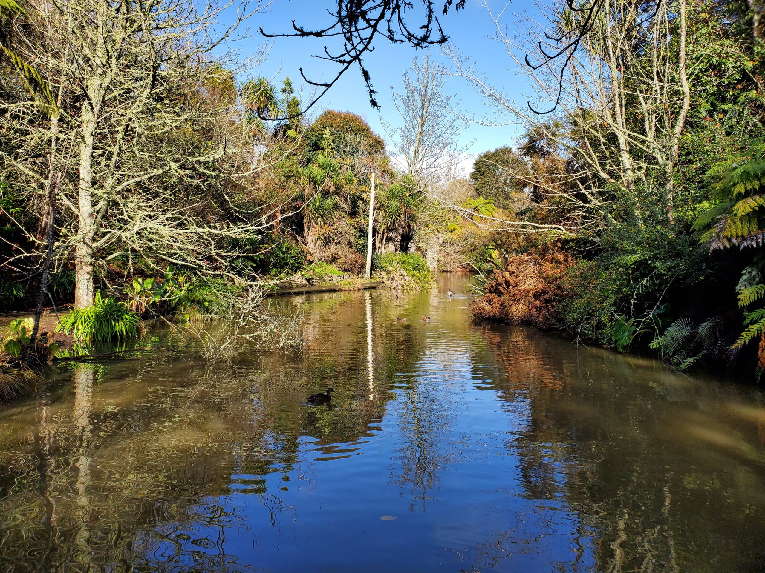 Shaw's Bird Park ponds