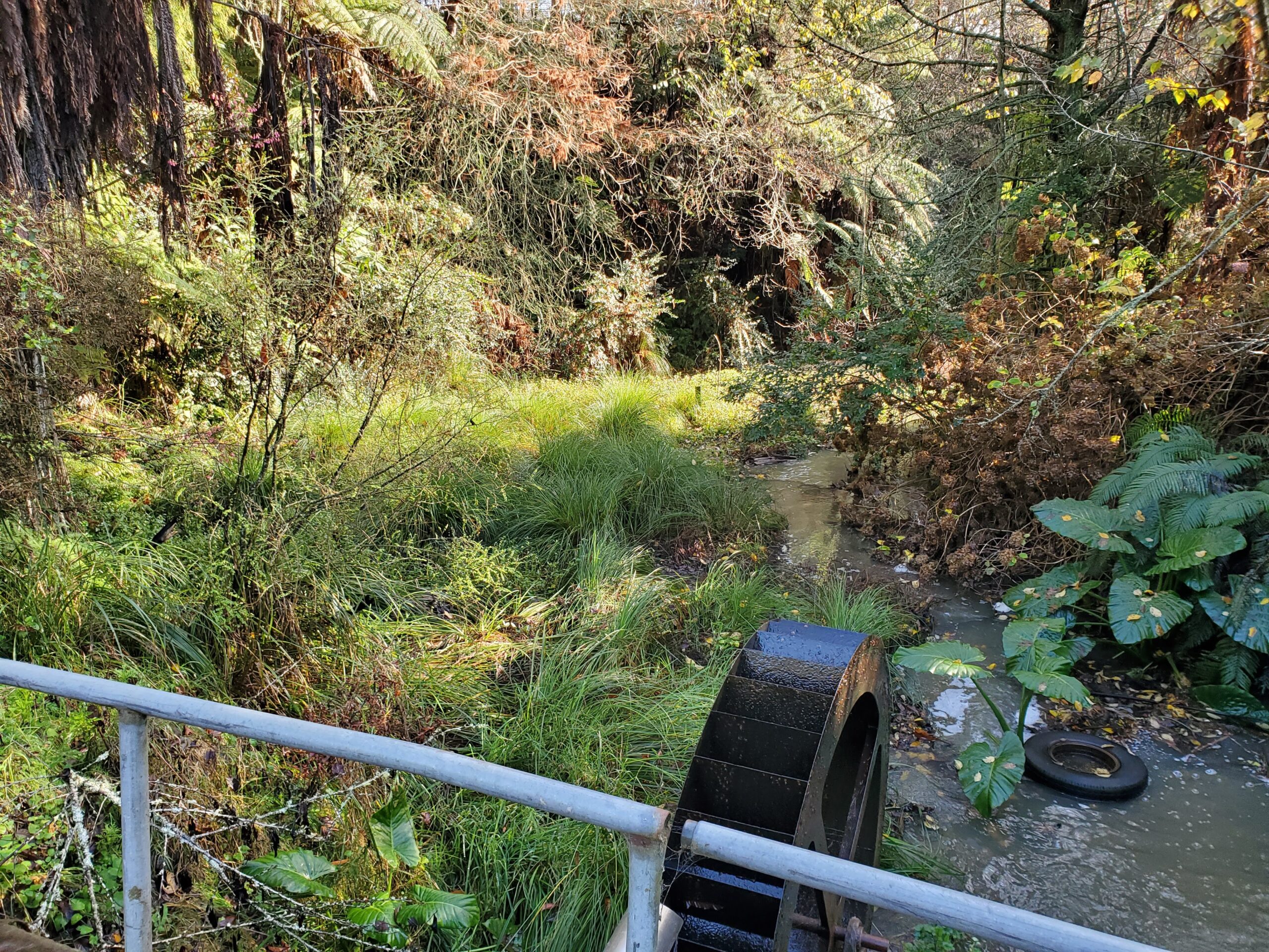 Shaw's Bird Park water wheel