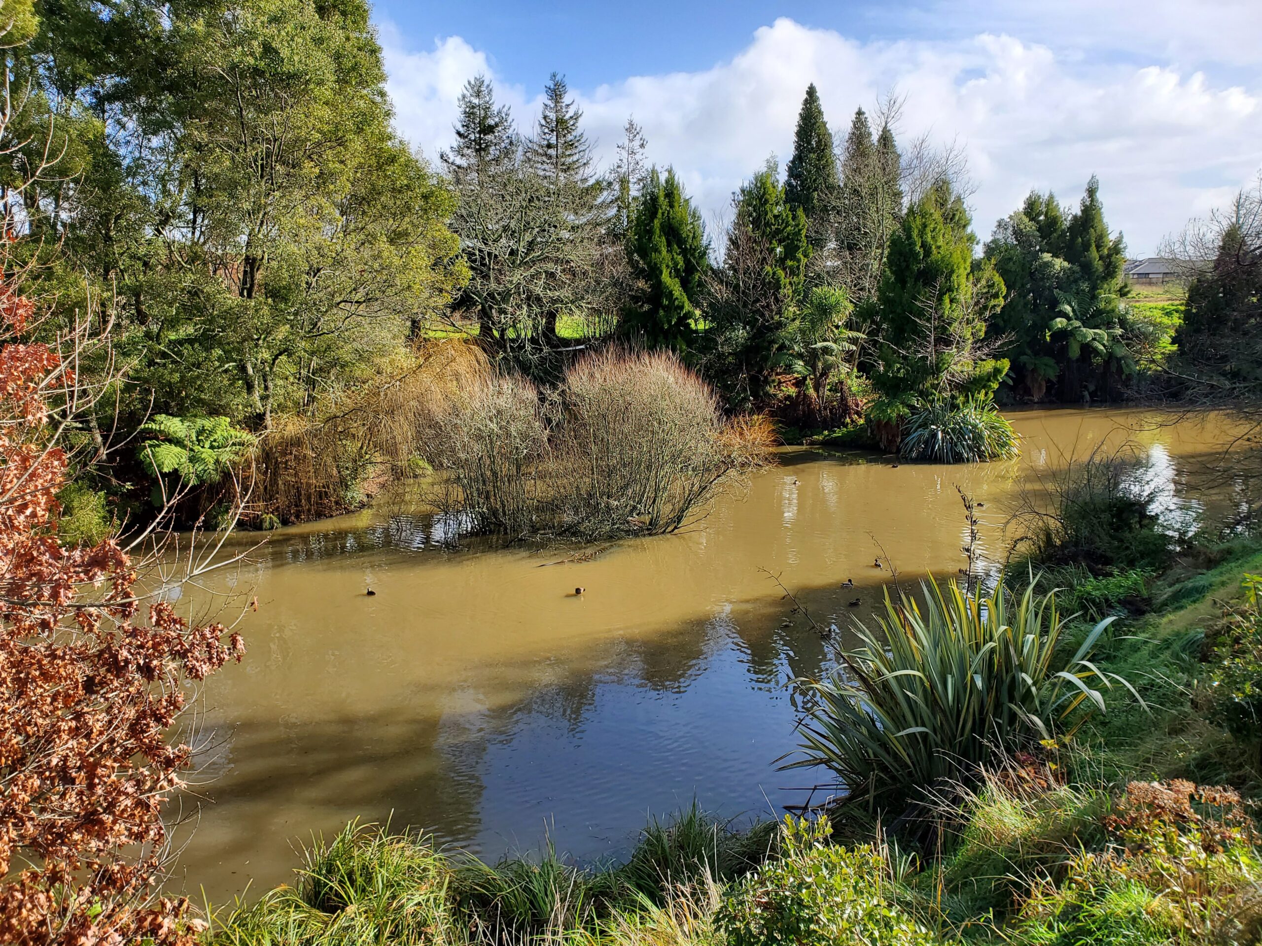 Shaw's Bird Park looking down on ducks